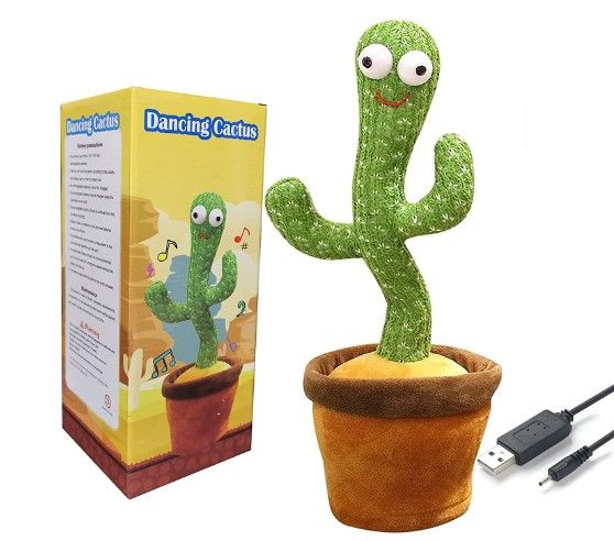 Cactus toy - 𝓜𝓞𝓓𝓔𝓡𝓝 𝓑𝓐𝓨𝓣𝓘